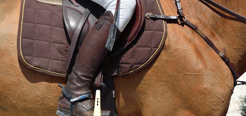 Maintain your horse riding tack