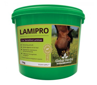 LamiPro Powder