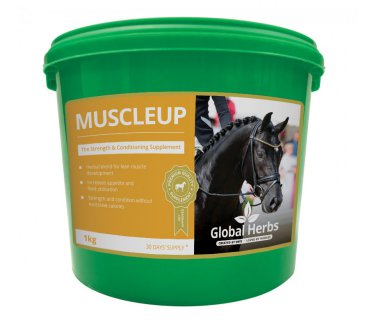 Muscle Up
