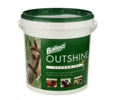Outshine with spearmint (high oil supplement) 5 kg