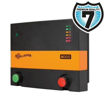 M300