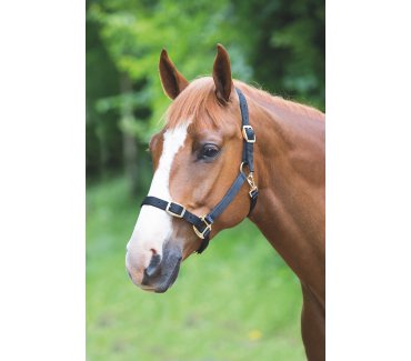 Adjustable Headcollar