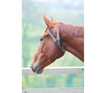 Anti-crib Collar