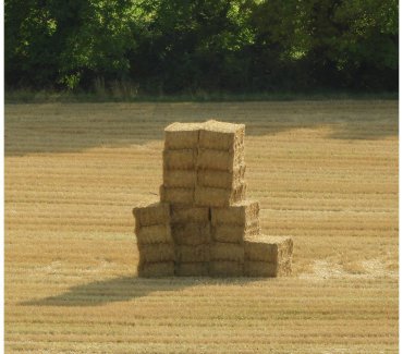 Hay Bale