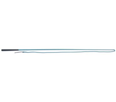 Lunging Whip - Spiral