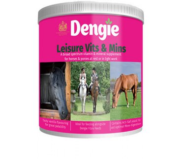 Dengie Leisure Vits & Mins