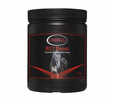 B12 Boost