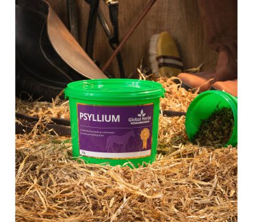 Psyllium
