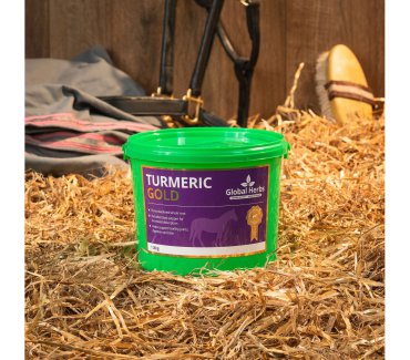 Turmeric Gold