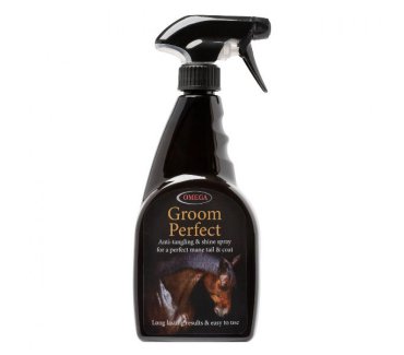 Groom Perfect