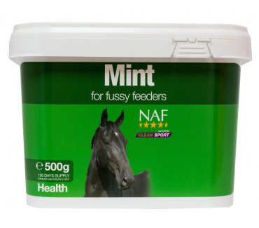Mint 500 g