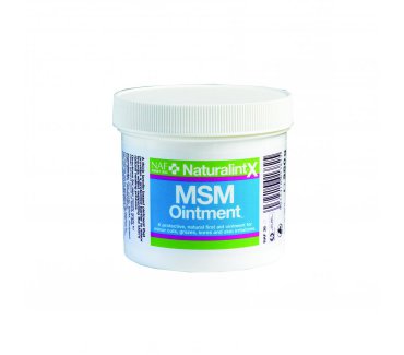 Naturalintx Msm Ointment 250 g