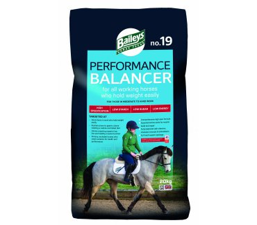 No.19 Performance Balancer
