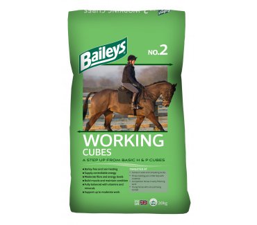 No.2 Working Horse & Pony Cubes