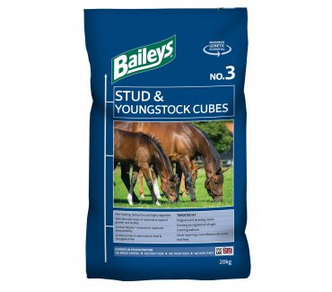No.3 Stud Cubes