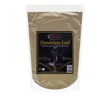 Dandelion