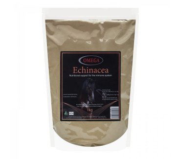 Echinacea