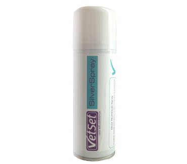 Aluminium Silver Spray - 200 Ml