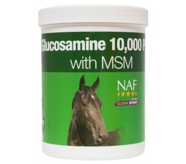 Glucosamine 10,000 Plus With Msm 900G